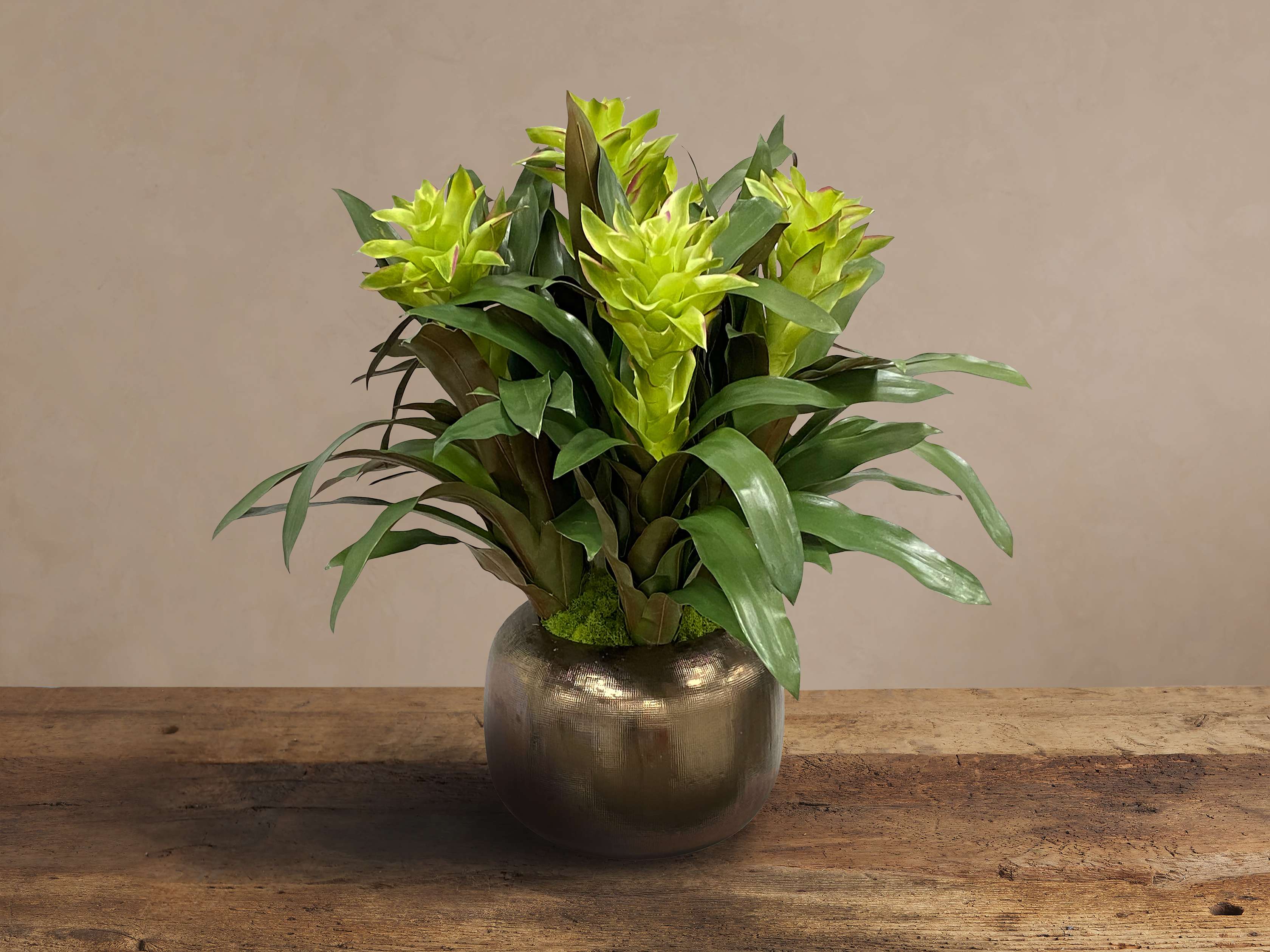 Faux Bromeliad in Artisanal Pot